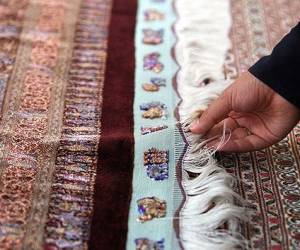 نگهداری از ریشه فرش