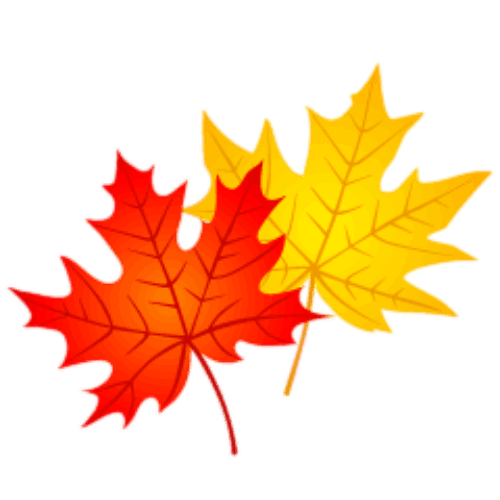 جشنواره-پاییزه